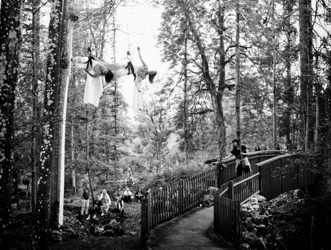 20240906 CCHAR_Tempi di borea - Le chant des ramures_049.JPG