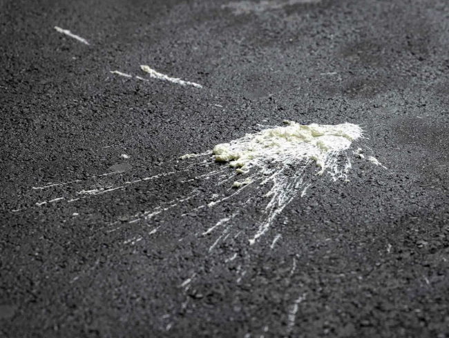 Splatsch Cie Les Lents Basse def Yoan Jeudy-72.jpeg