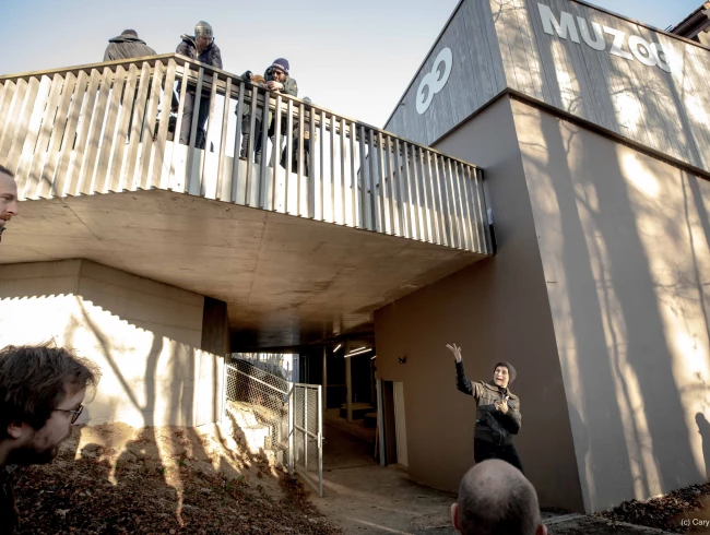 Elima _MG_4151 SD-2.jpeg